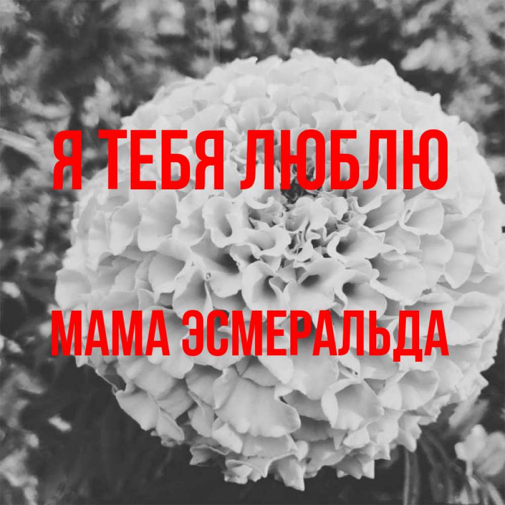 Открытка на каждый день с именем, Мама-Эсмеральда Я тебя люблю подпись Прикольная открытка с пожеланием онлайн скачать бесплатно 
