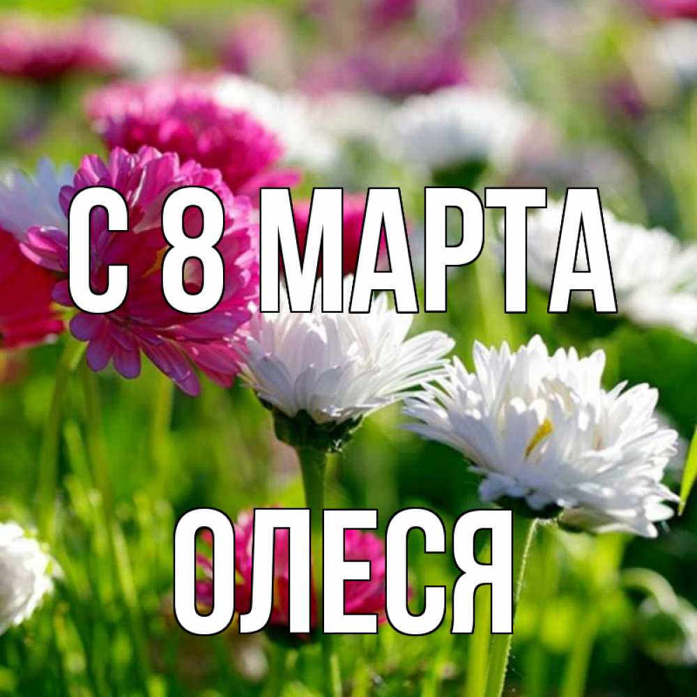 Открытка на каждый день с именем, Олеся С 8 марта международный женский день 1 Прикольная открытка с пожеланием онлайн скачать бесплатно 