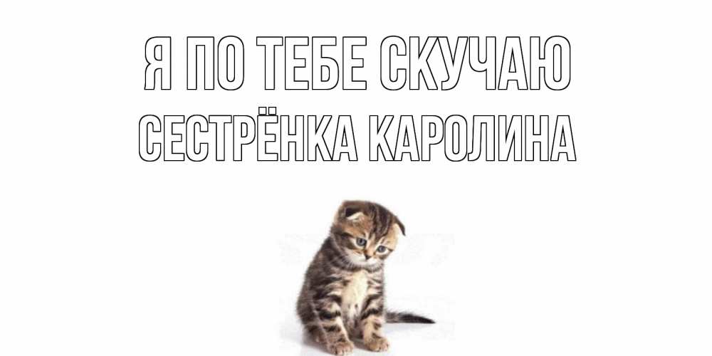 Открытка на каждый день с именем, Сестрёнка-Каролина Я по тебе скучаю кот Прикольная открытка с пожеланием онлайн скачать бесплатно 
