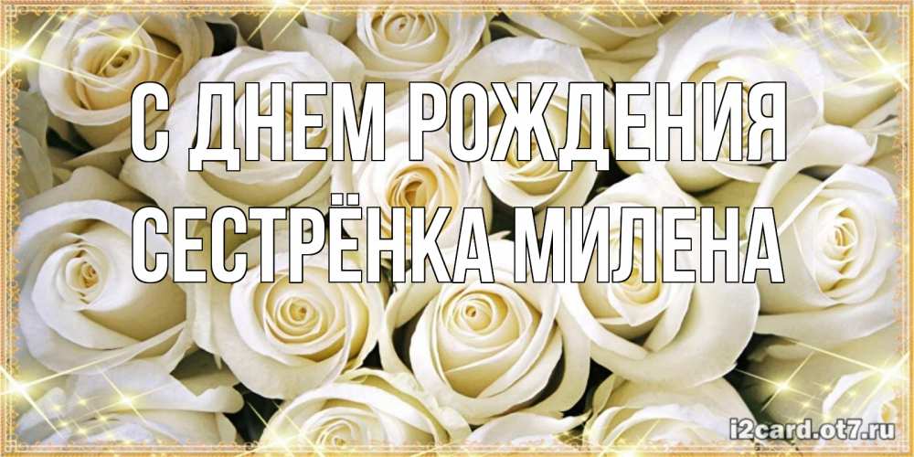 Открытка на каждый день с именем, Сестрёнка-Милена С днем рождения открытка с белыми розами. большой букет белых роз Прикольная открытка с пожеланием онлайн скачать бесплатно 