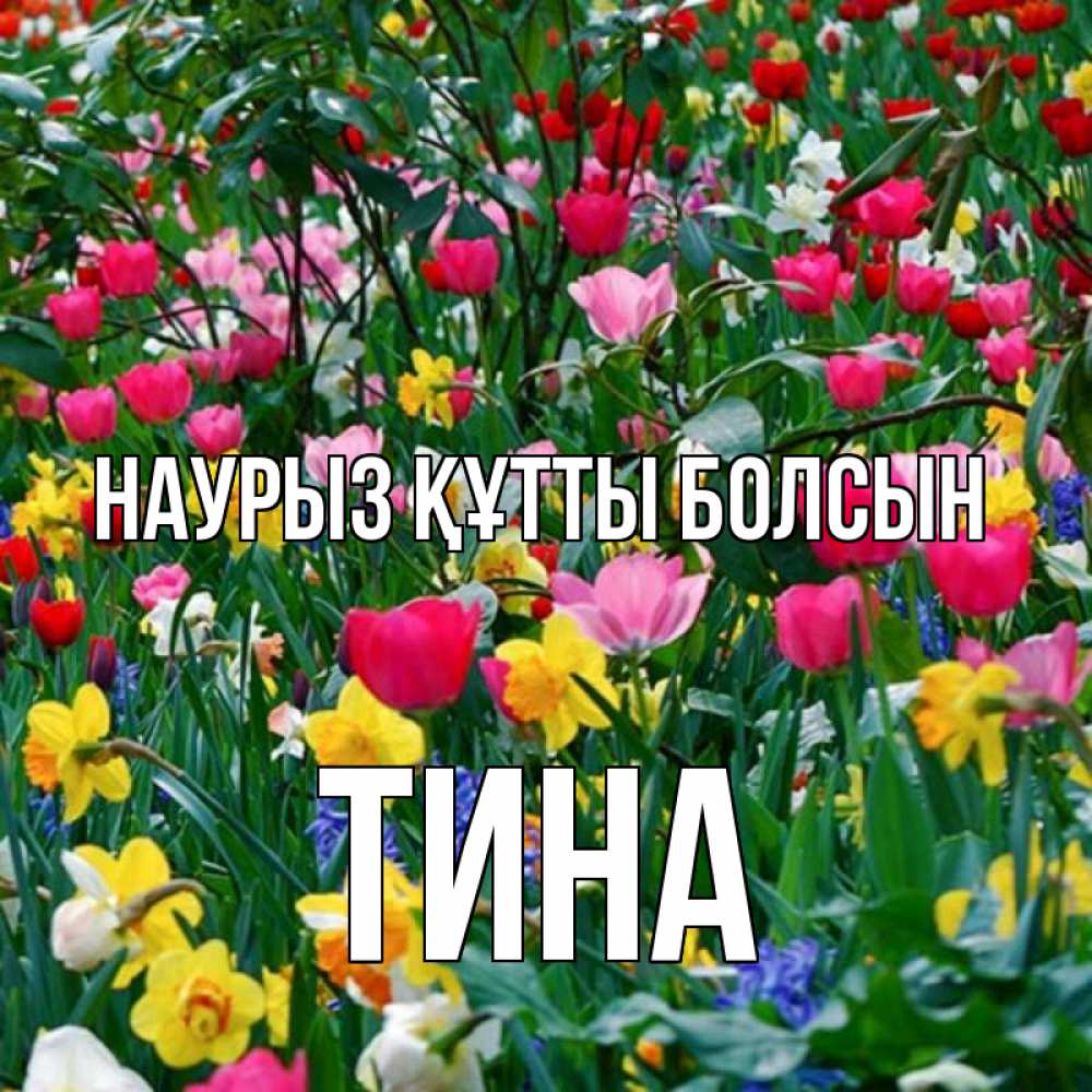 Открытка на каждый день с именем, Тина Наурыз құтты болсын с наурызом поздравления для женщины Прикольная открытка с пожеланием онлайн скачать бесплатно 