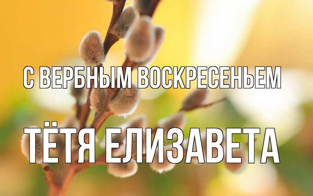 Открытка на каждый день с именем, Тётя-Елизавета С вербным воскресеньем верба Прикольная открытка с пожеланием онлайн скачать бесплатно 
