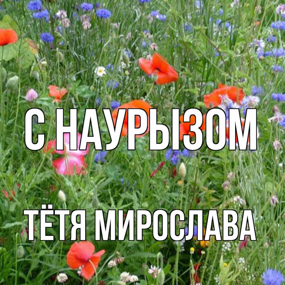 Открытка на каждый день с именем, Тётя-Мирослава С наурызом праздник весны наурыз супер открытка Прикольная открытка с пожеланием онлайн скачать бесплатно 