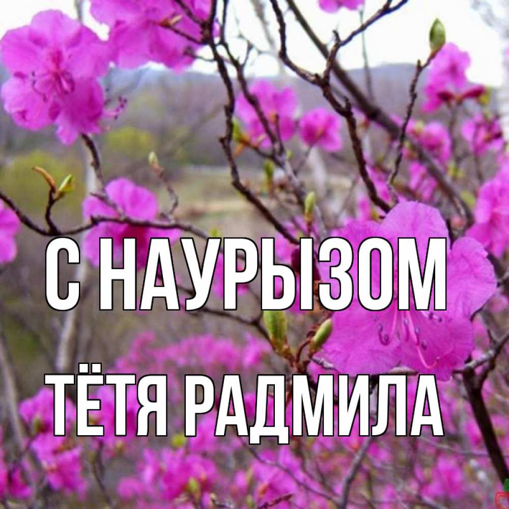 Открытка на каждый день с именем, Тётя-Радмила С наурызом праздник весны наурыз Прикольная открытка с пожеланием онлайн скачать бесплатно 