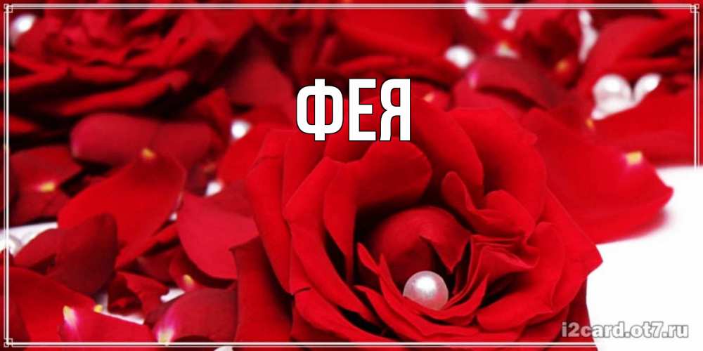 Открытка на каждый день с именем, Фея Главная роза с жемчужиной на открытке для любимых Прикольная открытка с пожеланием онлайн скачать бесплатно 