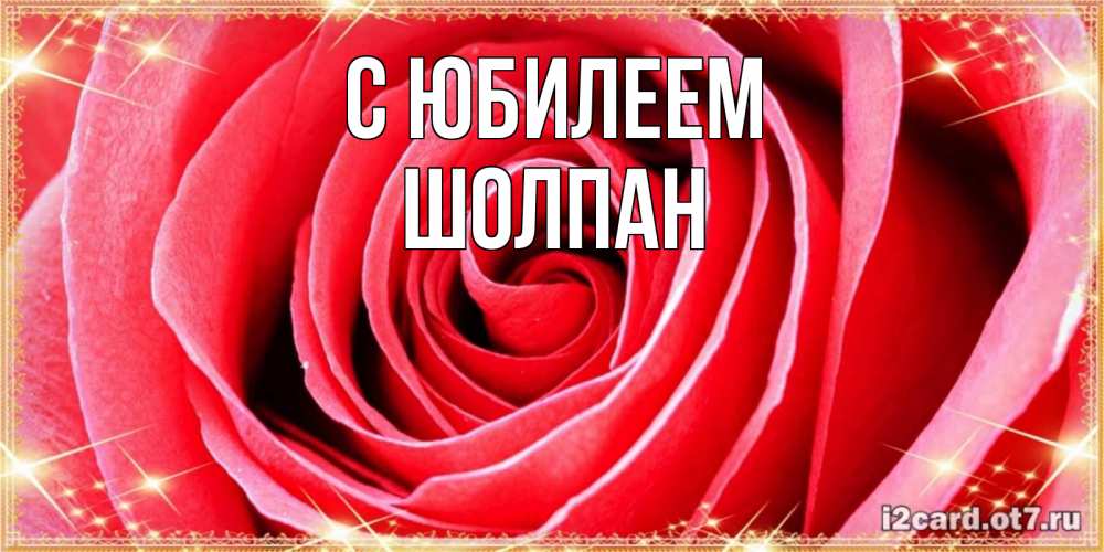 Открытка на каждый день с именем, Шолпан С юбилеем розовая роза очень крупный бутон Прикольная открытка с пожеланием онлайн скачать бесплатно 