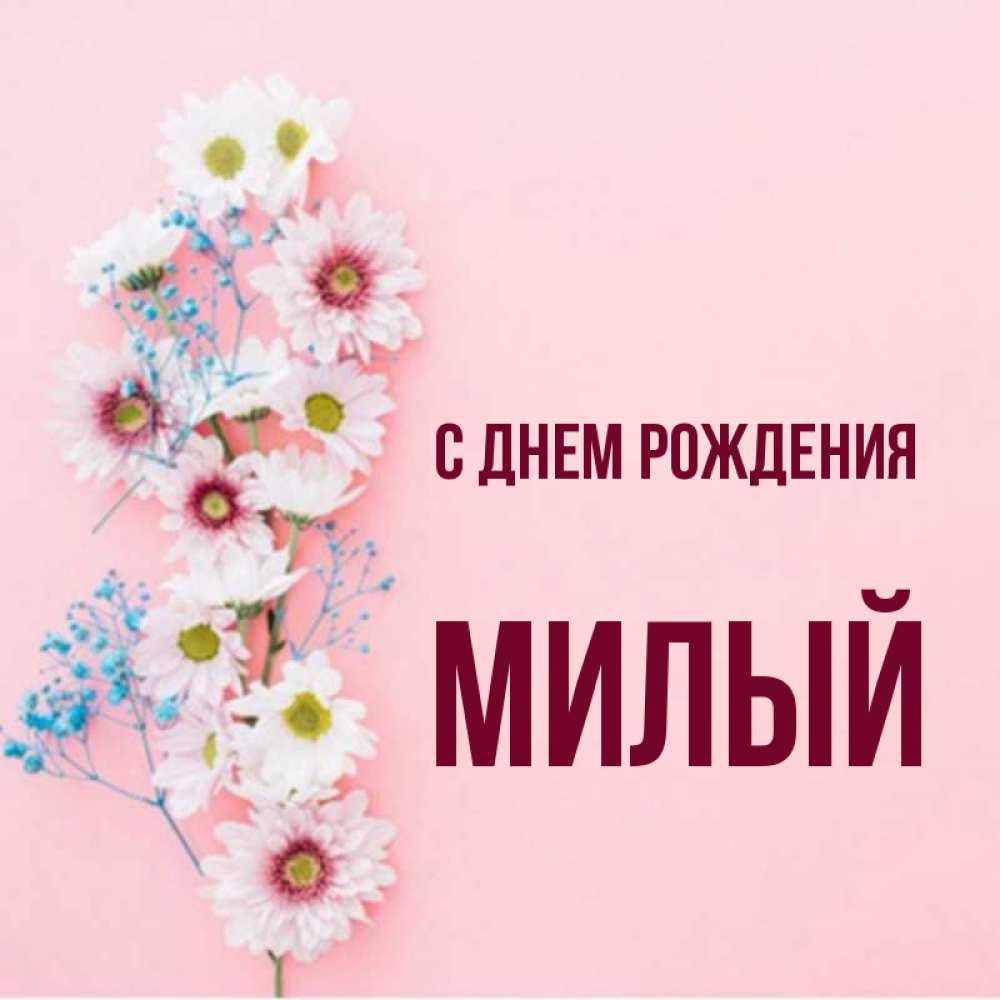 Открытка на каждый день с именем, милый С днем рождения Родная моя с днем рождения тебя картинка с цветами белыми и голубыми Прикольная открытка с пожеланием онлайн скачать бесплатно 