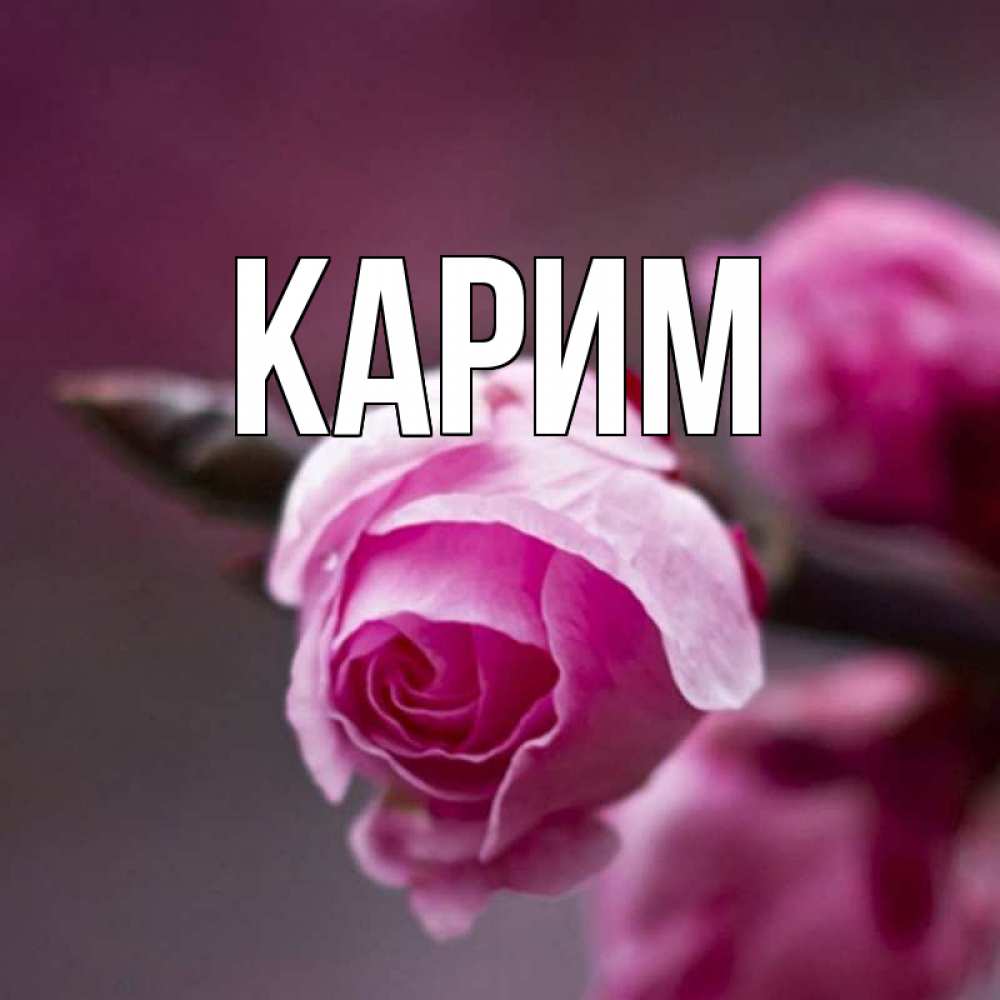 С днем рождения карима картинки