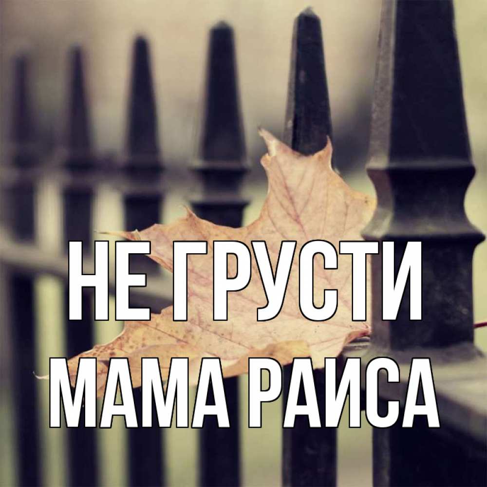 Открытка на каждый день с именем, Мама-Раиса Не грусти лист клена Прикольная открытка с пожеланием онлайн скачать бесплатно 