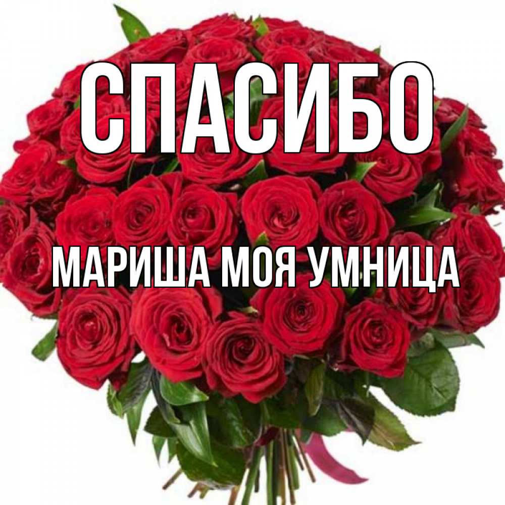Спасибо умница картинки