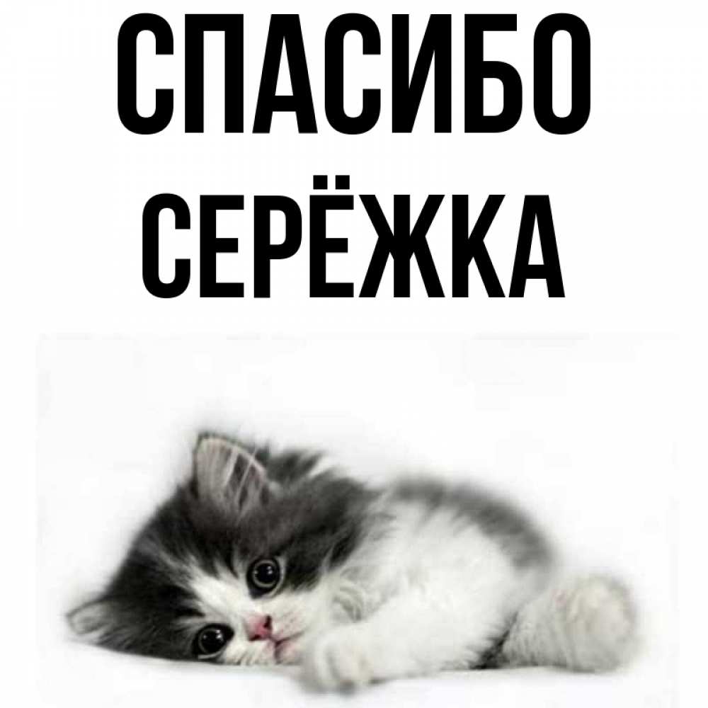 Картинка Спасибо, Серёжка