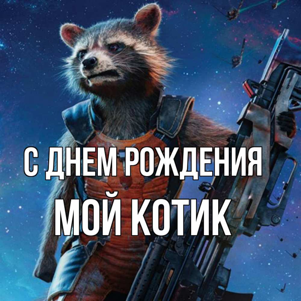 Открытка на каждый день с именем, Мой-Котик С днем рождения реактивный Рокета Прикольная открытка с пожеланием онлайн скачать бесплатно 