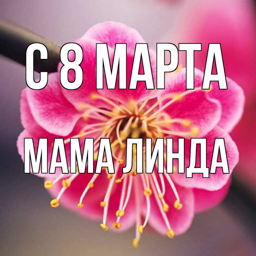 Открытка на каждый день с именем, Мама-Линда С 8 МАРТА цветы Прикольная открытка с пожеланием онлайн скачать бесплатно 