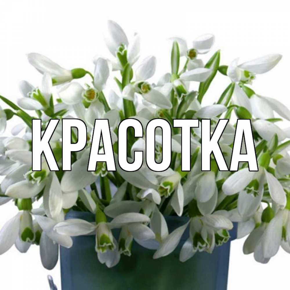 Открытка на каждый день с именем, красотка Главная цветы к международному женскому дню Прикольная открытка с пожеланием онлайн скачать бесплатно 