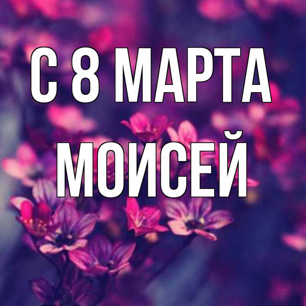 Картинка С 8 марта, Моисей