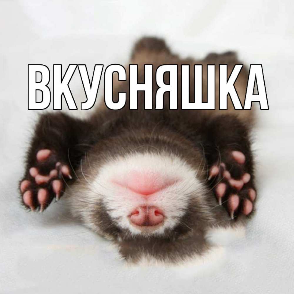 Открытка на каждый день с именем, Вкусняшка Главная зверек Прикольная открытка с пожеланием онлайн скачать бесплатно 