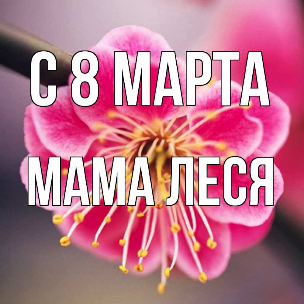 Открытка на каждый день с именем, Мама-Леся С 8 марта цветы Прикольная открытка с пожеланием онлайн скачать бесплатно 