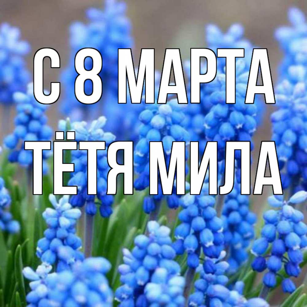 Открытка на каждый день с именем, Тётя-Мила С 8 МАРТА Поздравительная открытка для женщин с цветами на праздничную дату Прикольная открытка с пожеланием онлайн скачать бесплатно 