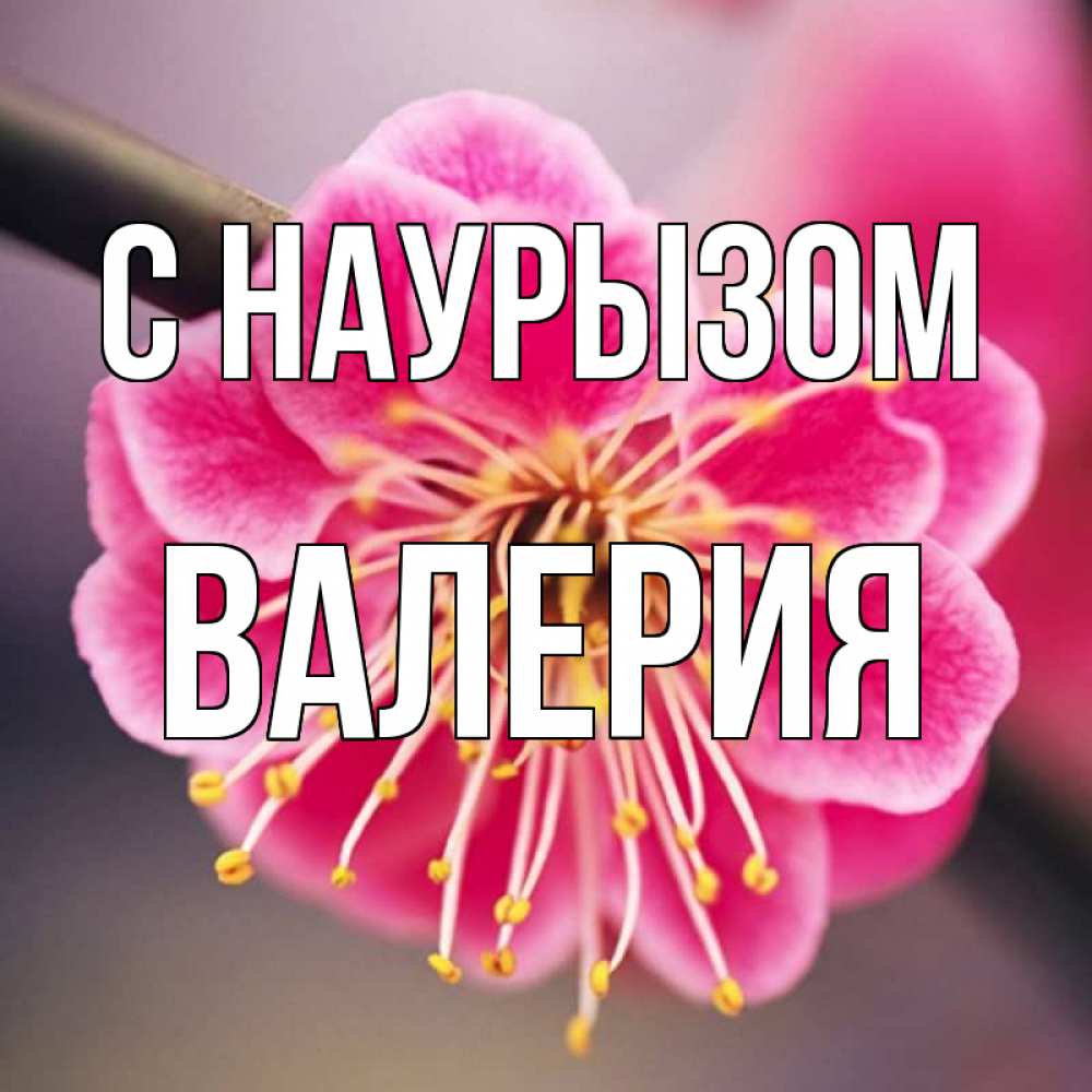 Открытка на каждый день с именем, Валерия С наурызом цветы Прикольная открытка с пожеланием онлайн скачать бесплатно 