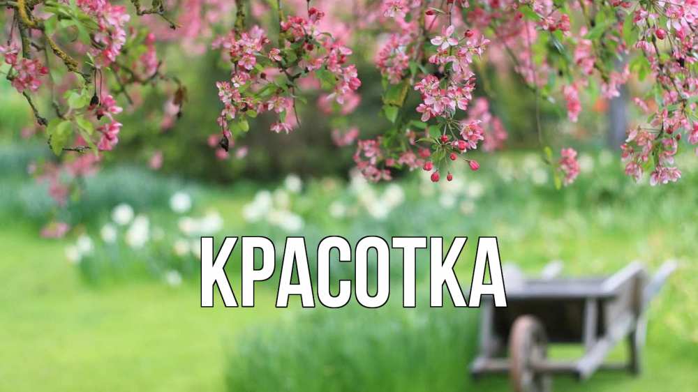 Открытка на каждый день с именем, красотка Главная С 1 мая Прикольная открытка с пожеланием онлайн скачать бесплатно 