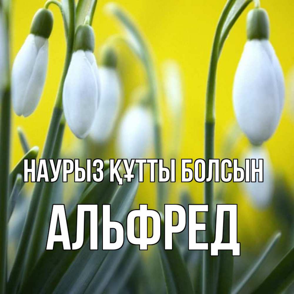Открытка на каждый день с именем, Альфред Наурыз құтты болсын весенние цветы Прикольная открытка с пожеланием онлайн скачать бесплатно 
