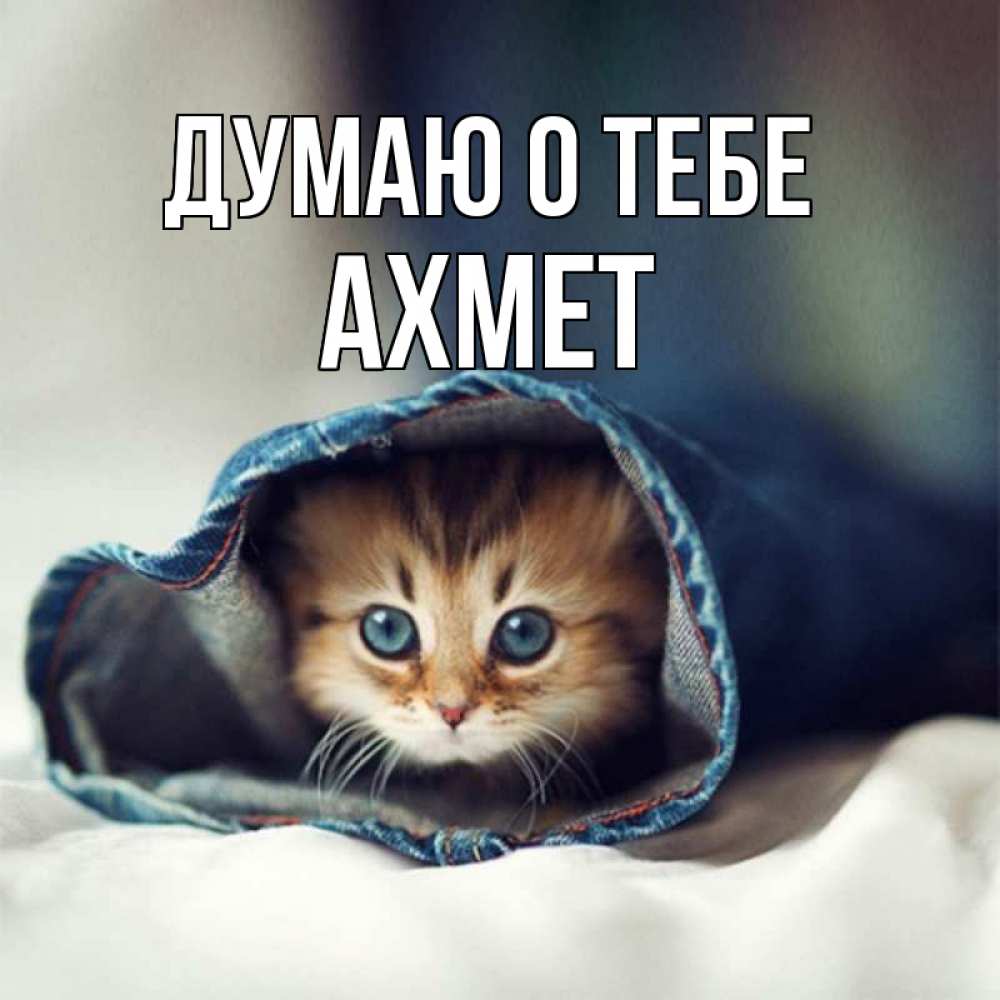 Открытка на каждый день с именем, Ахмет Думаю о тебе мне без тебя плохо Прикольная открытка с пожеланием онлайн скачать бесплатно 