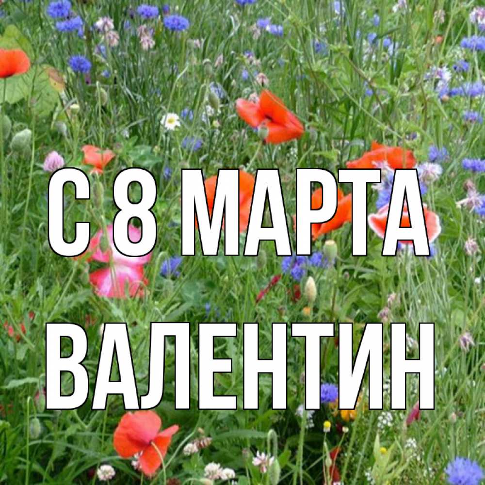 Открытка на каждый день с именем, Валентин С 8 МАРТА международный женский день 4 Прикольная открытка с пожеланием онлайн скачать бесплатно 