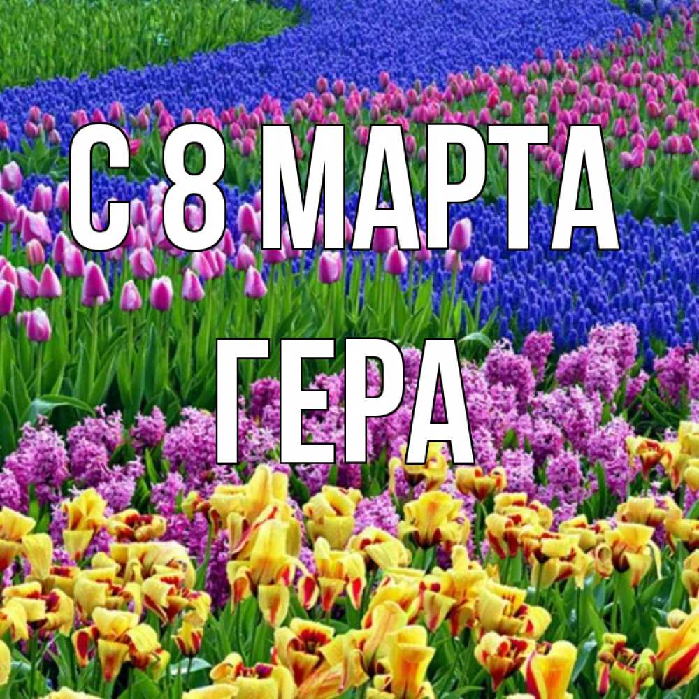 Открытка на каждый день с именем, Гера С 8 МАРТА цветы Прикольная открытка с пожеланием онлайн скачать бесплатно 