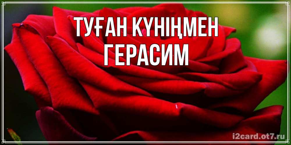 Открытка на каждый день с именем, Герасим Туған күніңмен розочка очень красивая Прикольная открытка с пожеланием онлайн скачать бесплатно 
