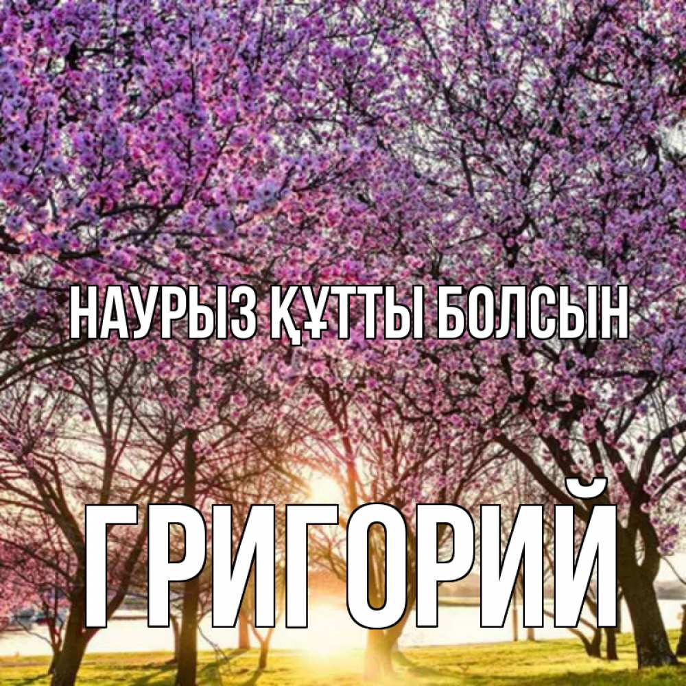 Открытка на каждый день с именем, Григорий Наурыз құтты болсын наурыз Прикольная открытка с пожеланием онлайн скачать бесплатно 