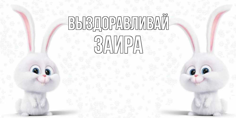 Открытка на каждый день с именем, Заира Выздоравливай не болей с зайцем Прикольная открытка с пожеланием онлайн скачать бесплатно 