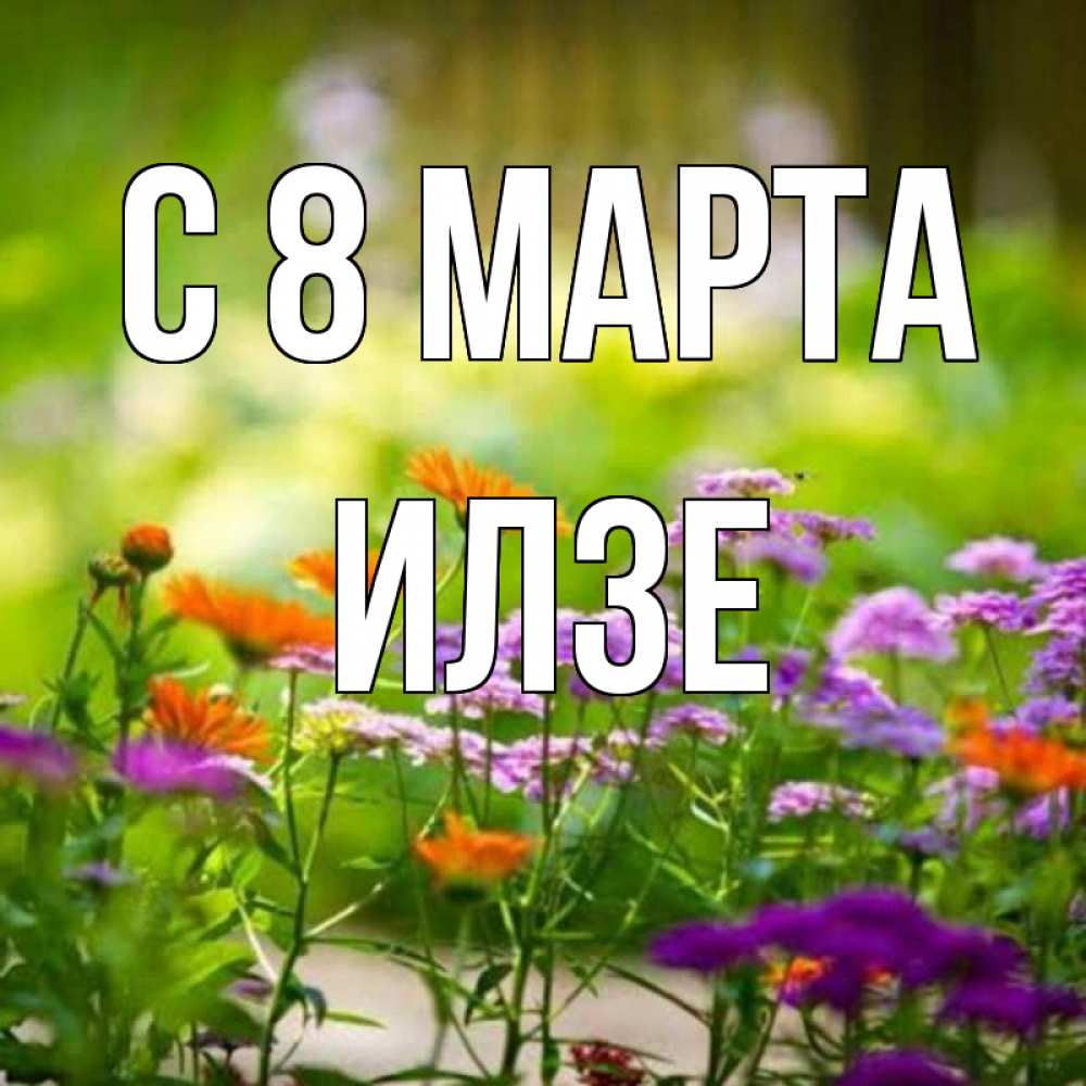 Открытка на каждый день с именем, Илзе С 8 МАРТА цветы Прикольная открытка с пожеланием онлайн скачать бесплатно 