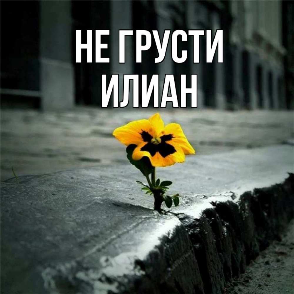 Открытка на каждый день с именем, Илиан Не грусти не сдавайся Прикольная открытка с пожеланием онлайн скачать бесплатно 