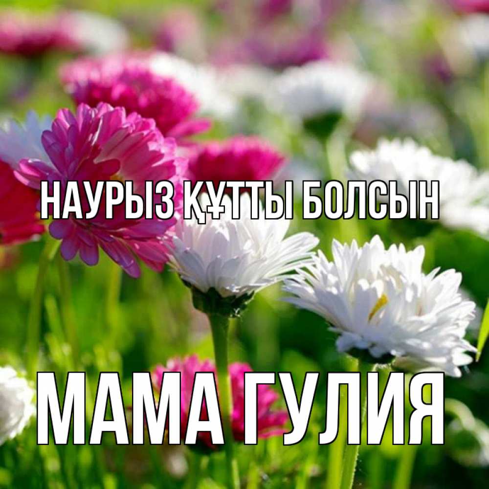 Открытка на каждый день с именем, Мама-Гулия Наурыз құтты болсын наурыз Прикольная открытка с пожеланием онлайн скачать бесплатно 
