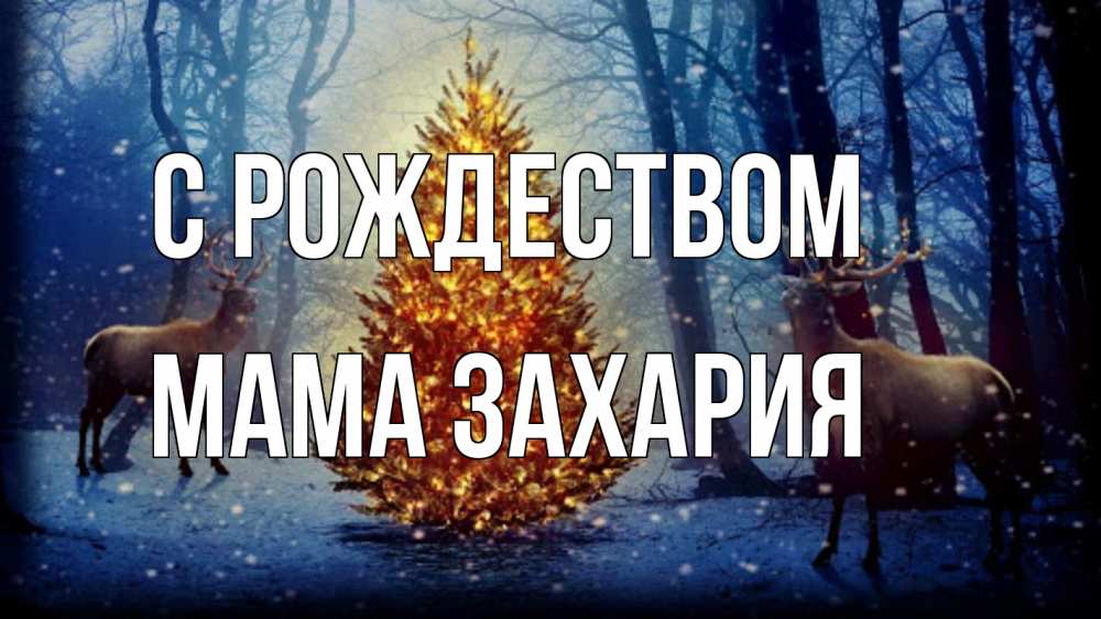 Открытка на каждый день с именем, Мама-Захария С рождеством олени, новогодняя елка Прикольная открытка с пожеланием онлайн скачать бесплатно 