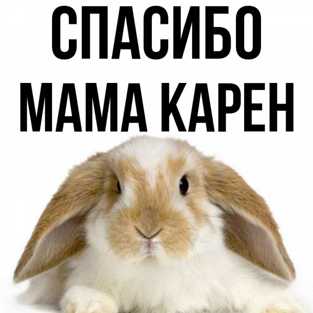 Открытка на каждый день с именем, Мама-Карен Спасибо коричнево белый заяц Прикольная открытка с пожеланием онлайн скачать бесплатно 