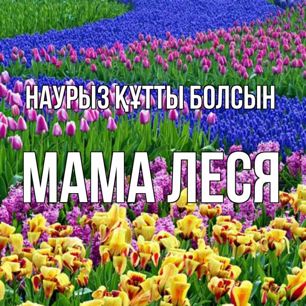Открытка на каждый день с именем, Мама-Леся Наурыз құтты болсын цветы Прикольная открытка с пожеланием онлайн скачать бесплатно 
