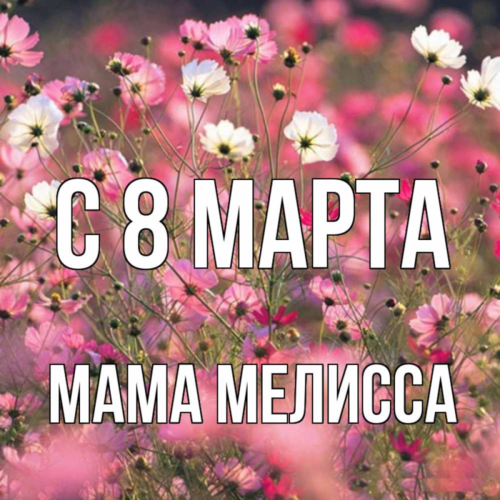 Открытка на каждый день с именем, Мама-Мелисса С 8 МАРТА красиво 1 Прикольная открытка с пожеланием онлайн скачать бесплатно 