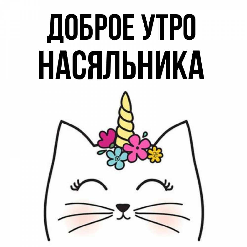 Открытка на каждый день с именем, Насяльника Доброе утро утречко Прикольная открытка с пожеланием онлайн скачать бесплатно 