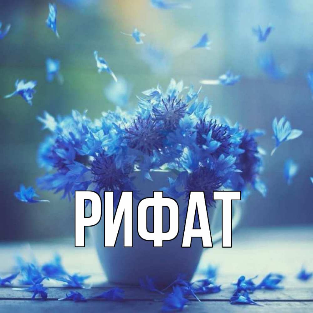 Открытка на каждый день с именем, Рифат Главная кружка с зельем и цветами Прикольная открытка с пожеланием онлайн скачать бесплатно 