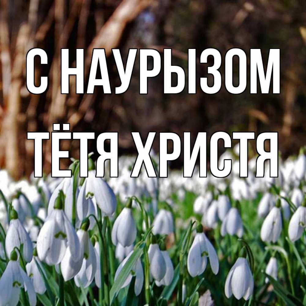 Открытка на каждый день с именем, Тётя-Христя С наурызом с подснежниками 1 Прикольная открытка с пожеланием онлайн скачать бесплатно 
