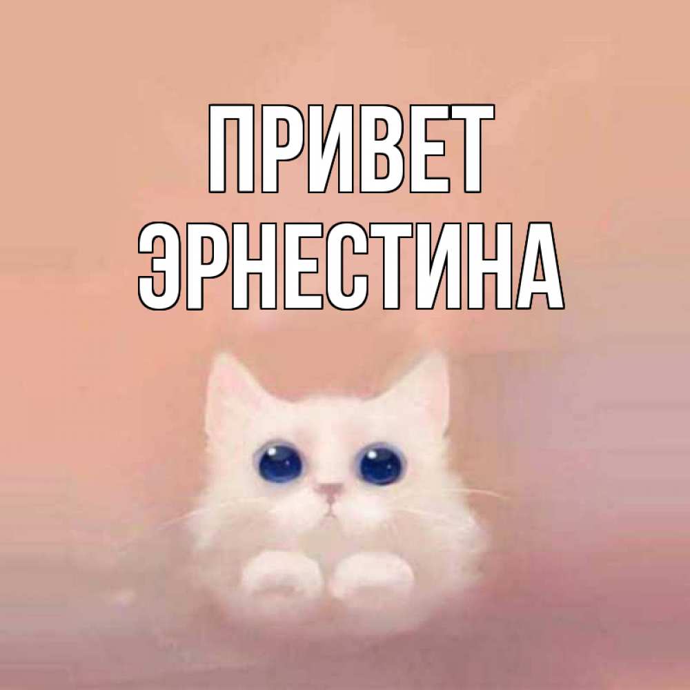 Открытка на каждый день с именем, Эрнестина Привет котик белый в полете Прикольная открытка с пожеланием онлайн скачать бесплатно 