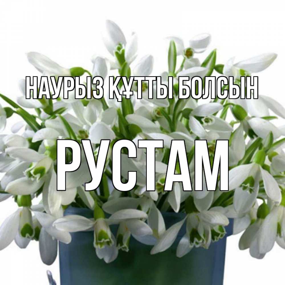 Открытка на каждый день с именем, Рустам Наурыз құтты болсын цветы к наурызу Прикольная открытка с пожеланием онлайн скачать бесплатно 