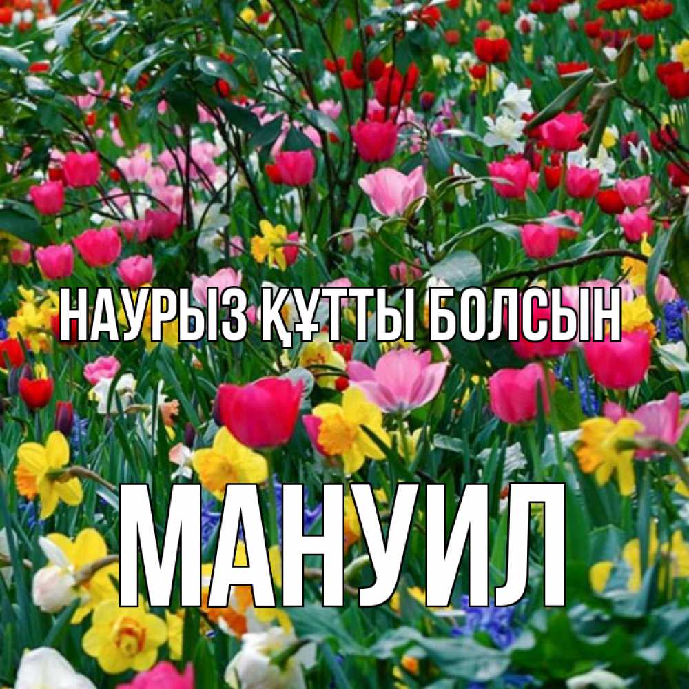 Открытка на каждый день с именем, Мануил Наурыз құтты болсын с наурызом поздравления для женщины Прикольная открытка с пожеланием онлайн скачать бесплатно 