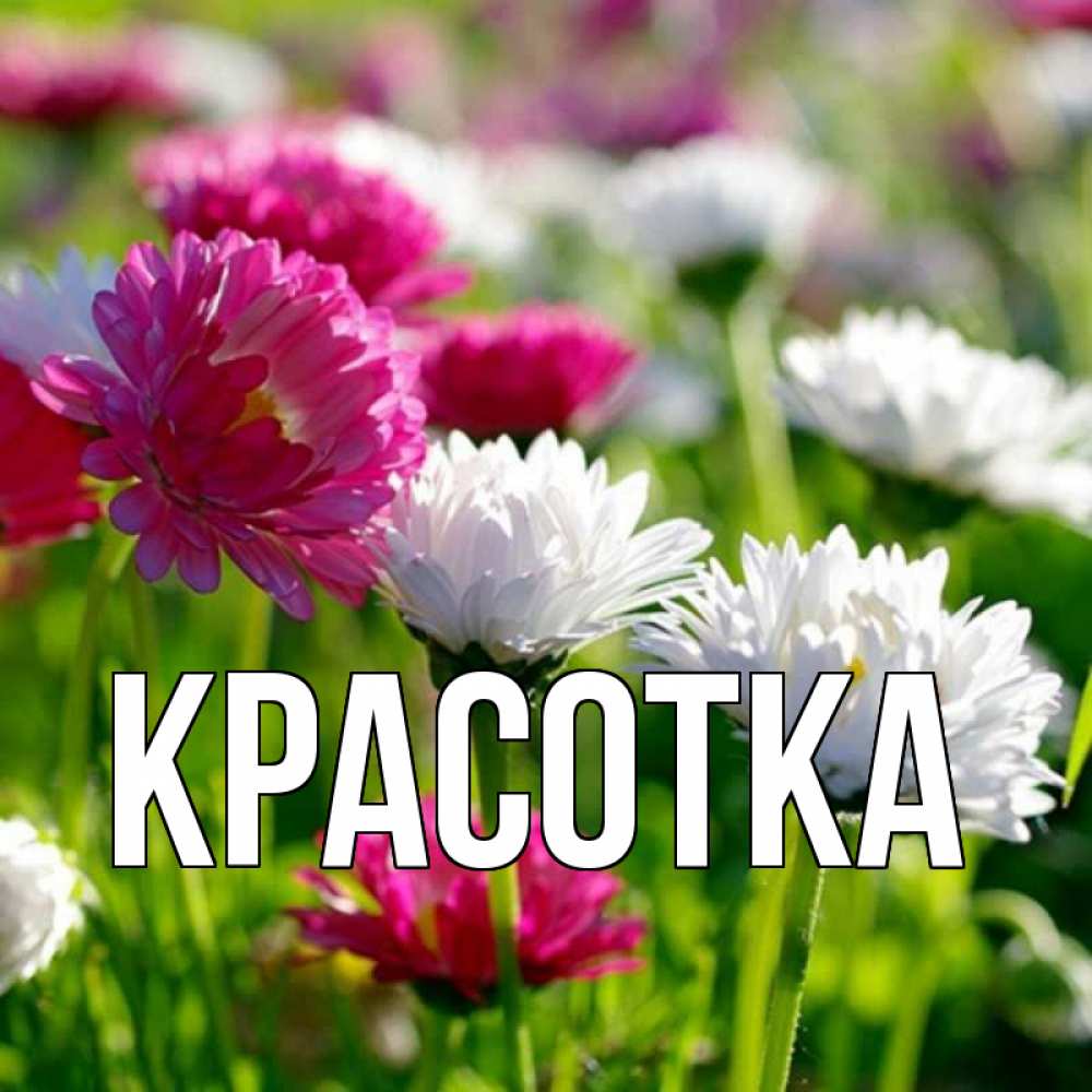 Открытка на каждый день с именем, красотка Главная международный женский день 1 Прикольная открытка с пожеланием онлайн скачать бесплатно 