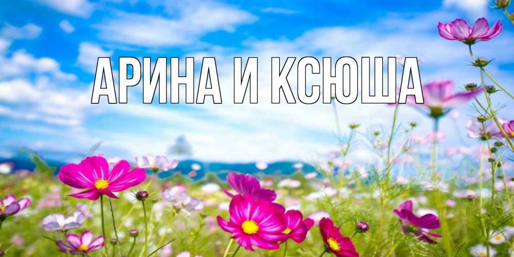 Открытка на каждый день с именем, Арина-и-Ксюша Главная поле цветов Прикольная открытка с пожеланием онлайн скачать бесплатно 