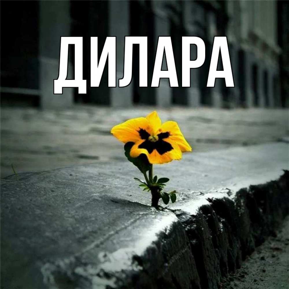 Открытка на каждый день с именем, Дилара Главная надеюсь будет лучше Прикольная открытка с пожеланием онлайн скачать бесплатно 