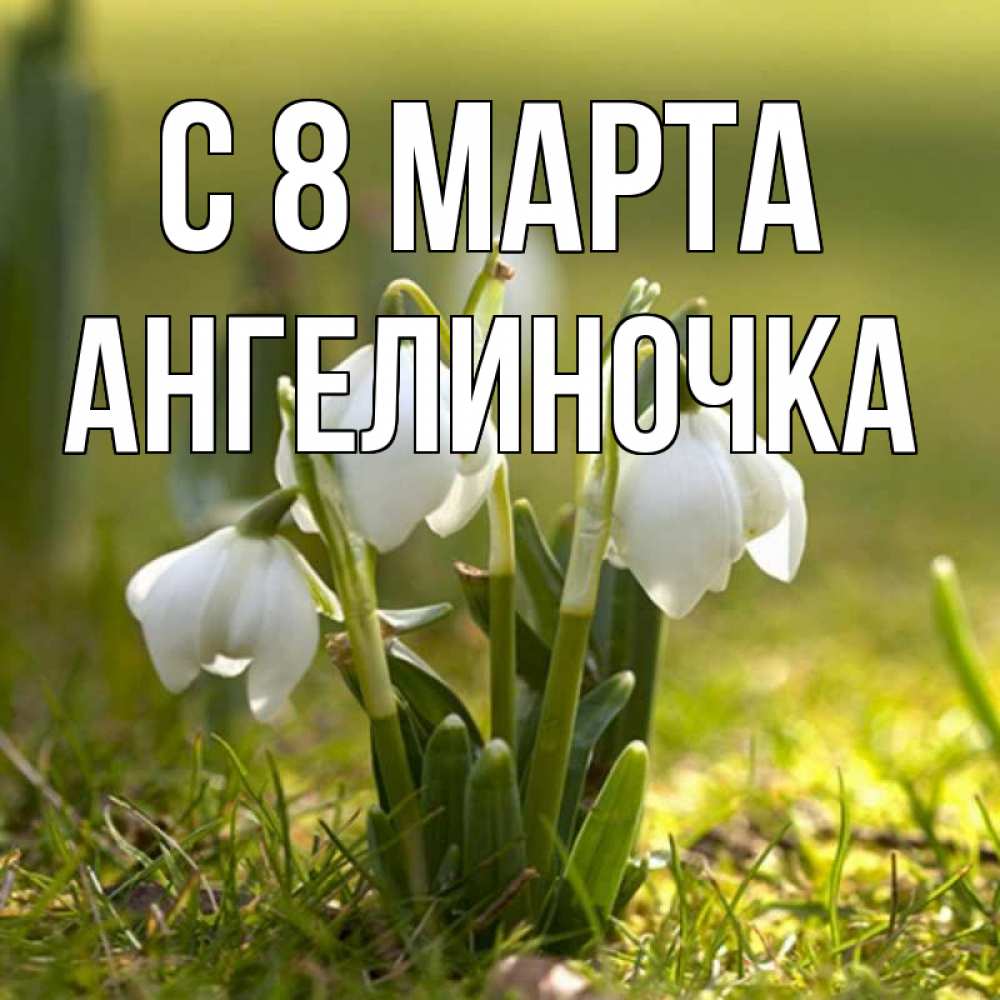 Открытка на каждый день с именем, Ангелиночка С 8 марта ранние цветы 2 Прикольная открытка с пожеланием онлайн скачать бесплатно 