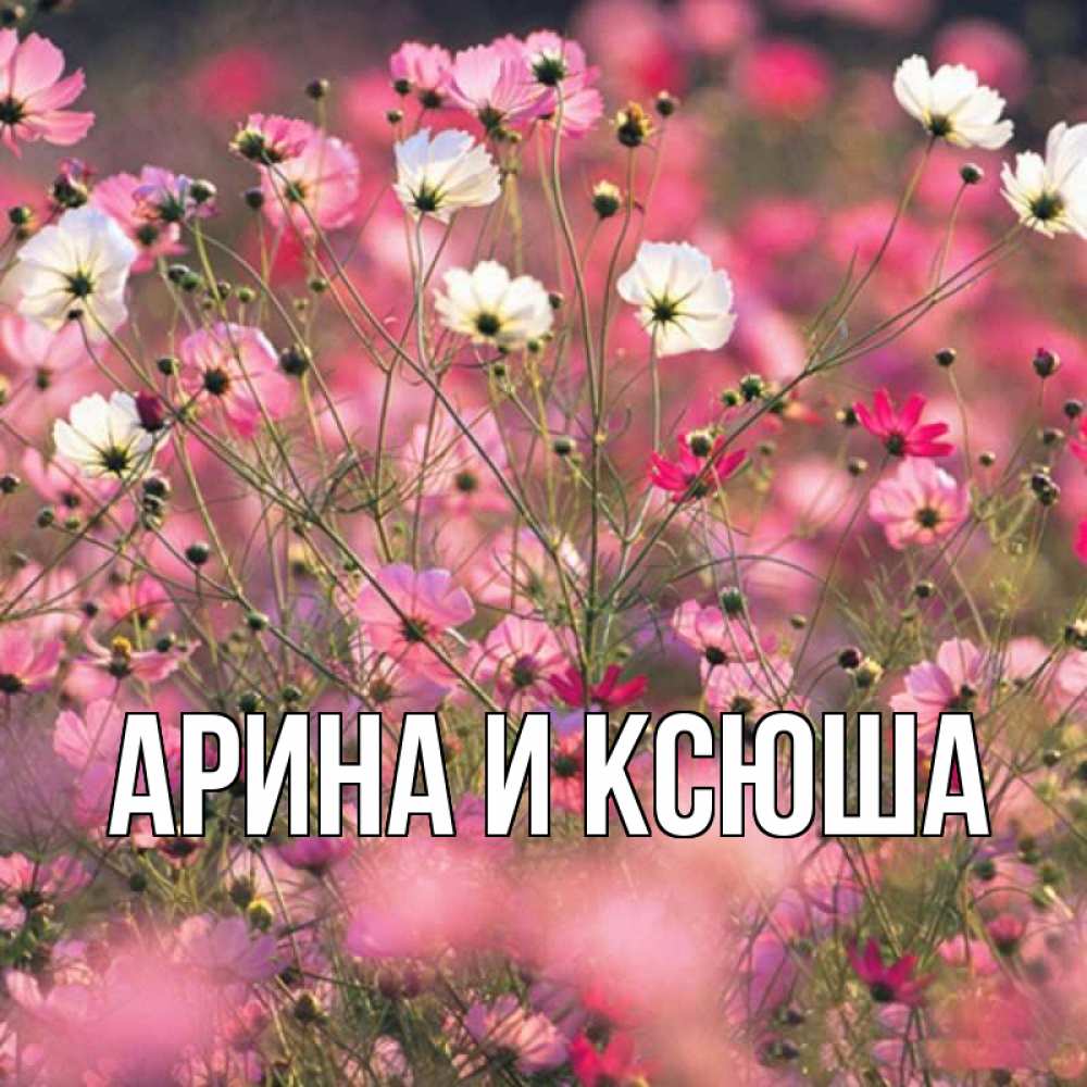 Открытка на каждый день с именем, Арина-и-Ксюша Главная красиво 1 Прикольная открытка с пожеланием онлайн скачать бесплатно 