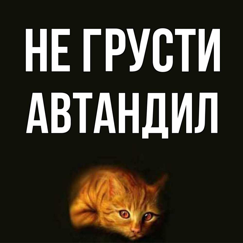 Открытка на каждый день с именем, Автандил Не грусти лежащий кот в темноте Прикольная открытка с пожеланием онлайн скачать бесплатно 